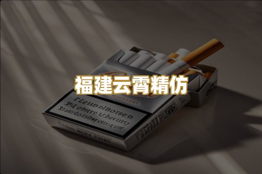 福建云霄精仿